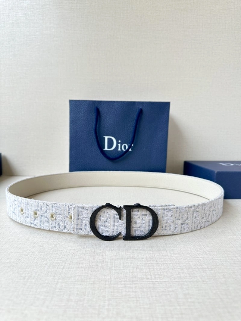Christian Dior Belts Vibrant 284984