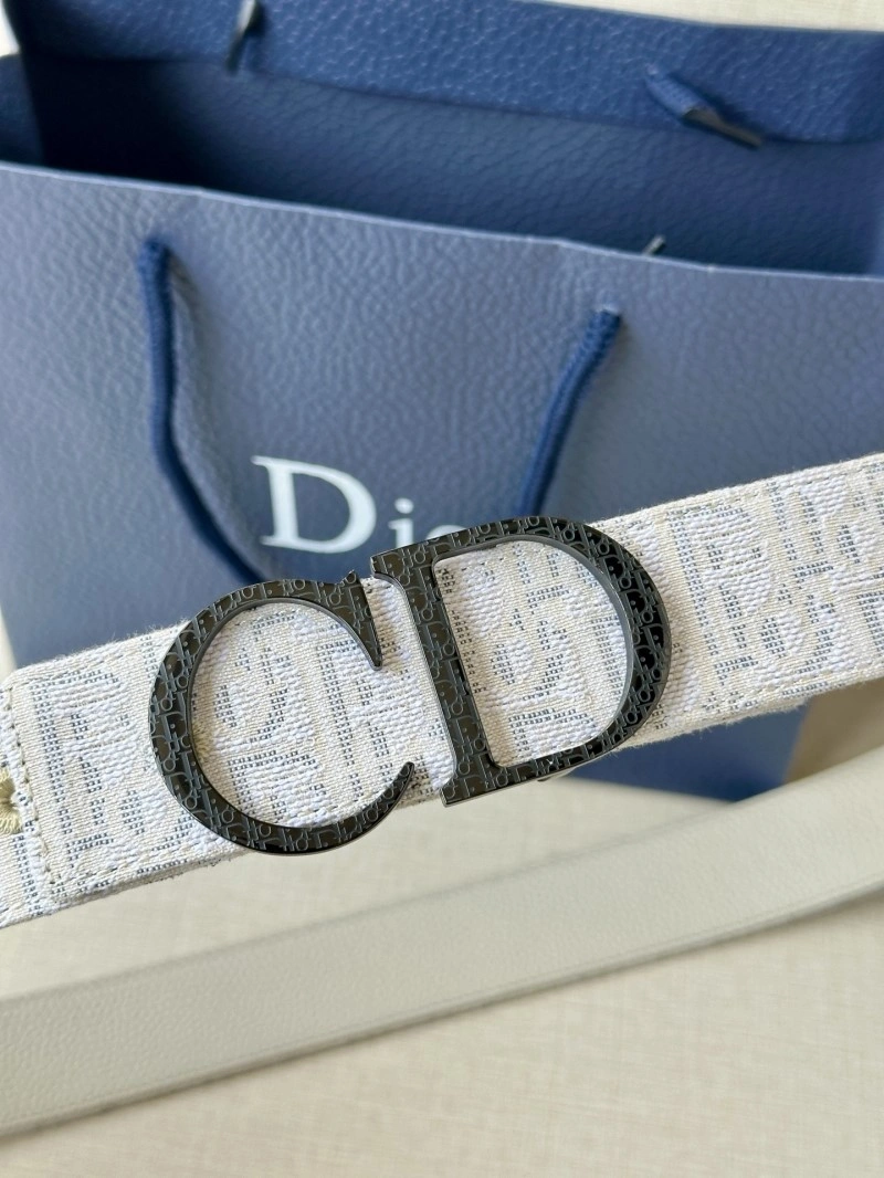 Christian Dior Belts Vibrant 284984
