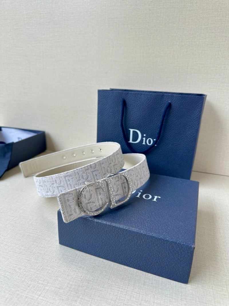 Christian Dior Belts Vibrant 284984
