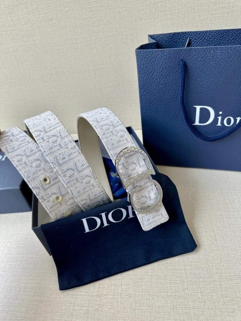 Christian Dior Belts Vibrant 284984