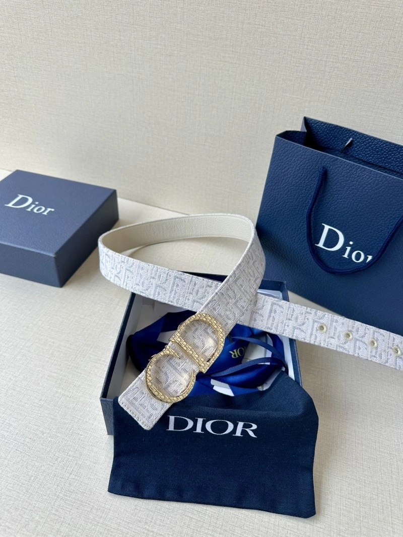 Christian Dior Belts Vibrant 284984
