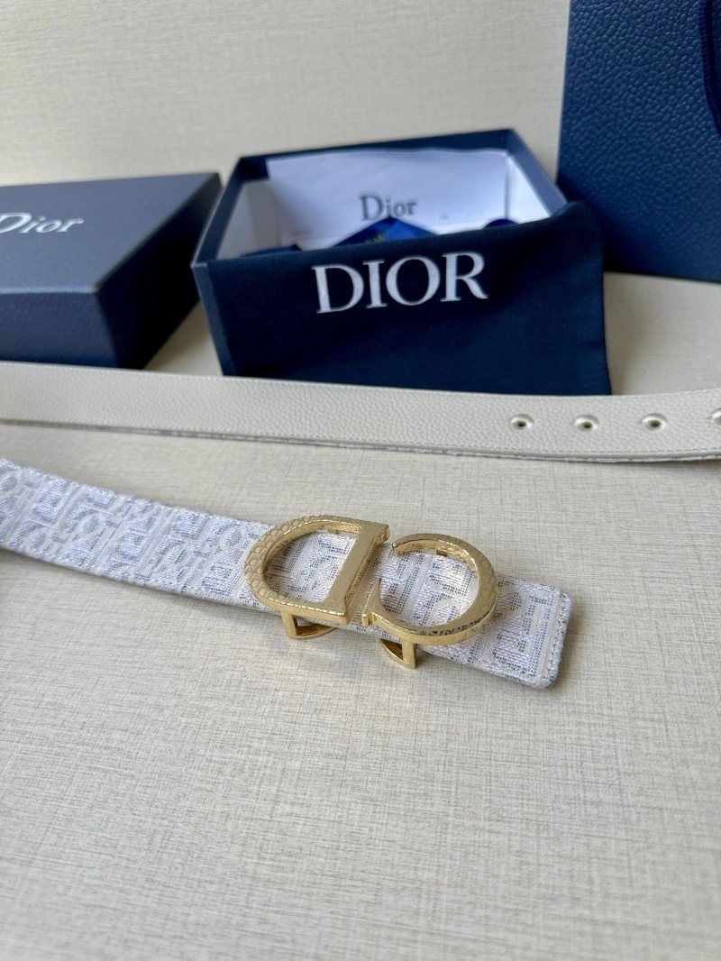 Christian Dior Belts Vibrant 284984