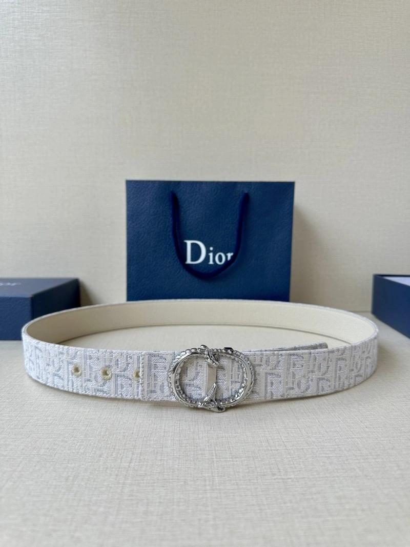 StreetReady Christian Dior Belts 284989