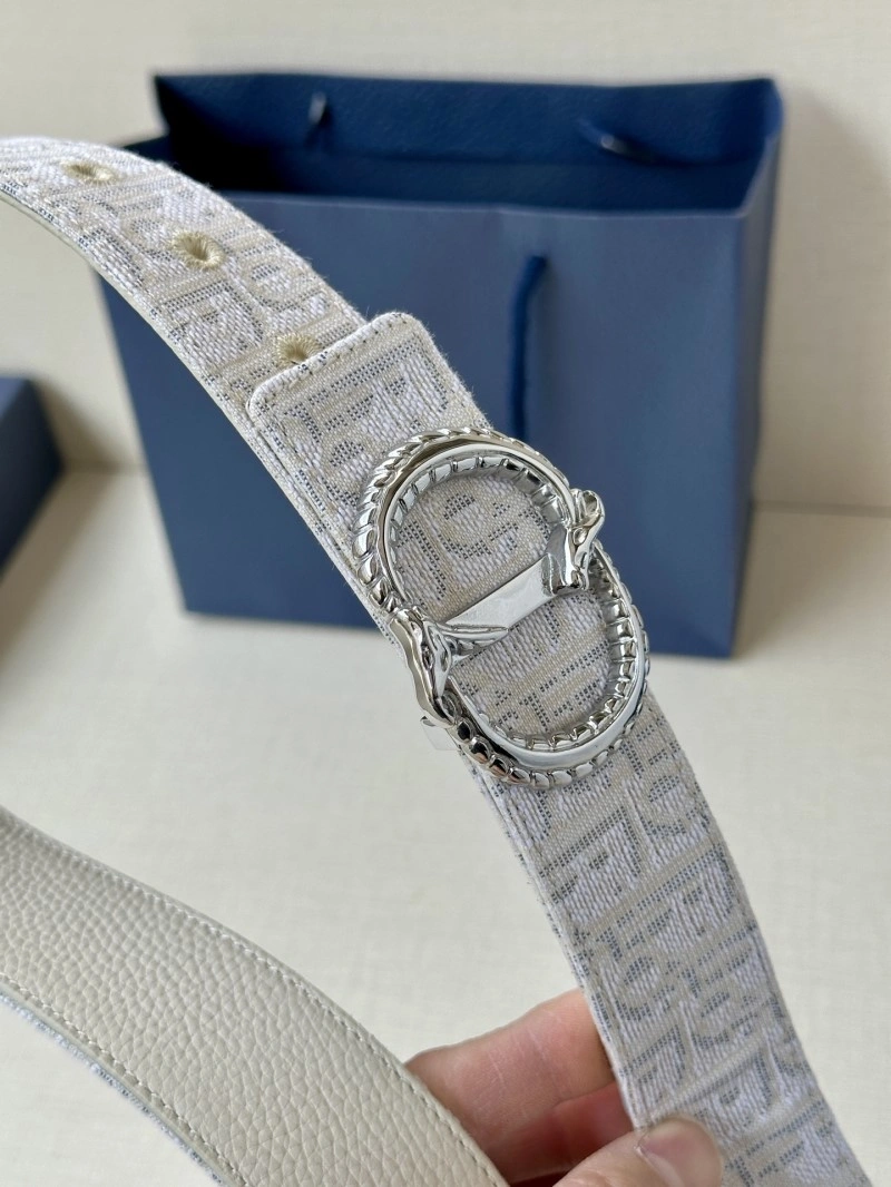 StreetReady Christian Dior Belts 284989
