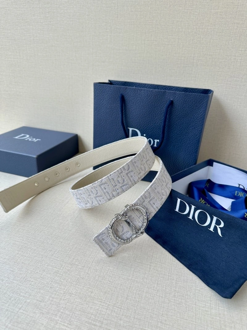 StreetReady Christian Dior Belts 284989
