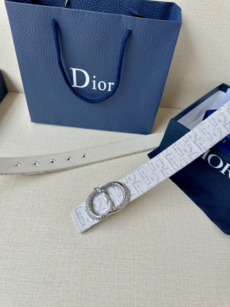StreetReady Christian Dior Belts 284989