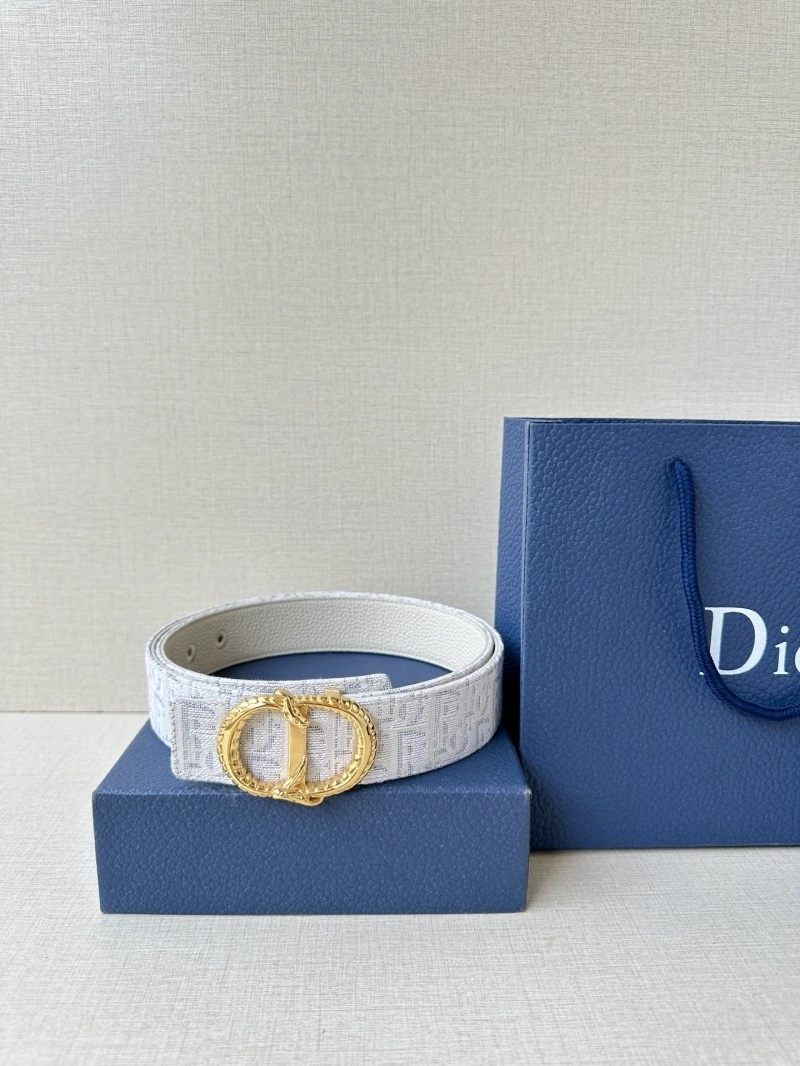 StreetReady Christian Dior Belts 284989