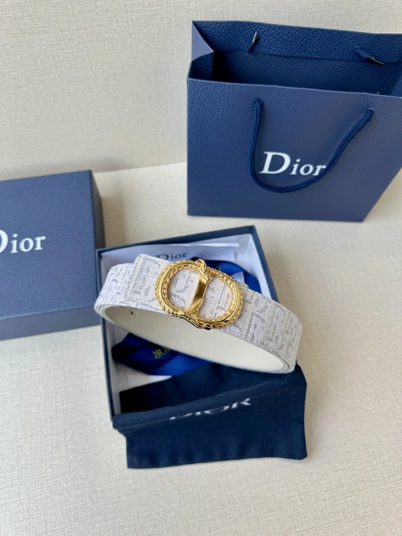 StreetReady Christian Dior Belts 284989