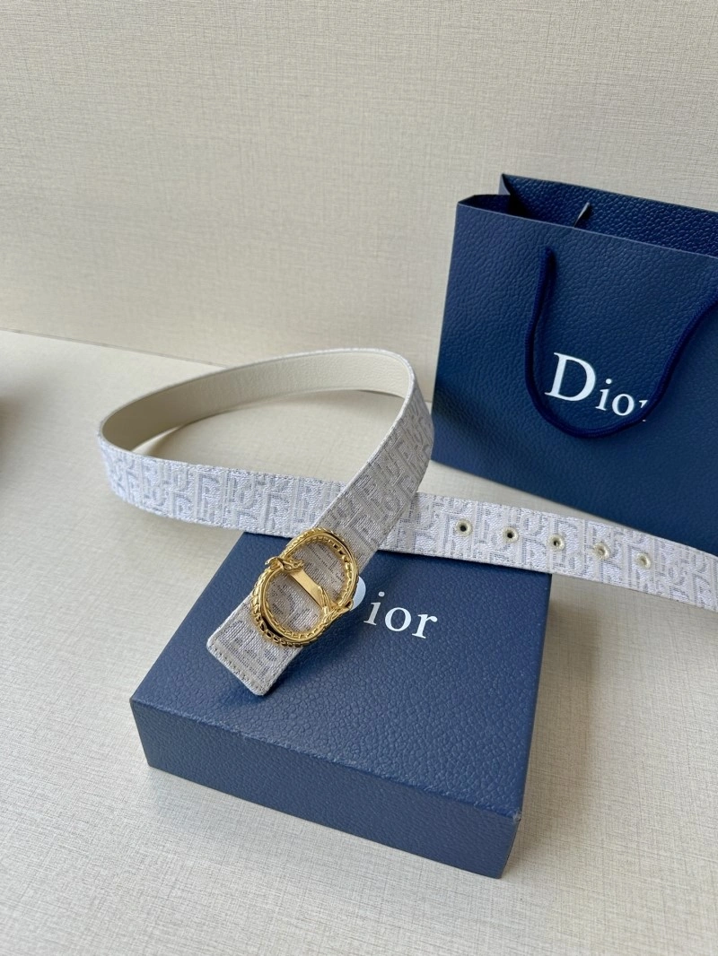 StreetReady Christian Dior Belts 284989