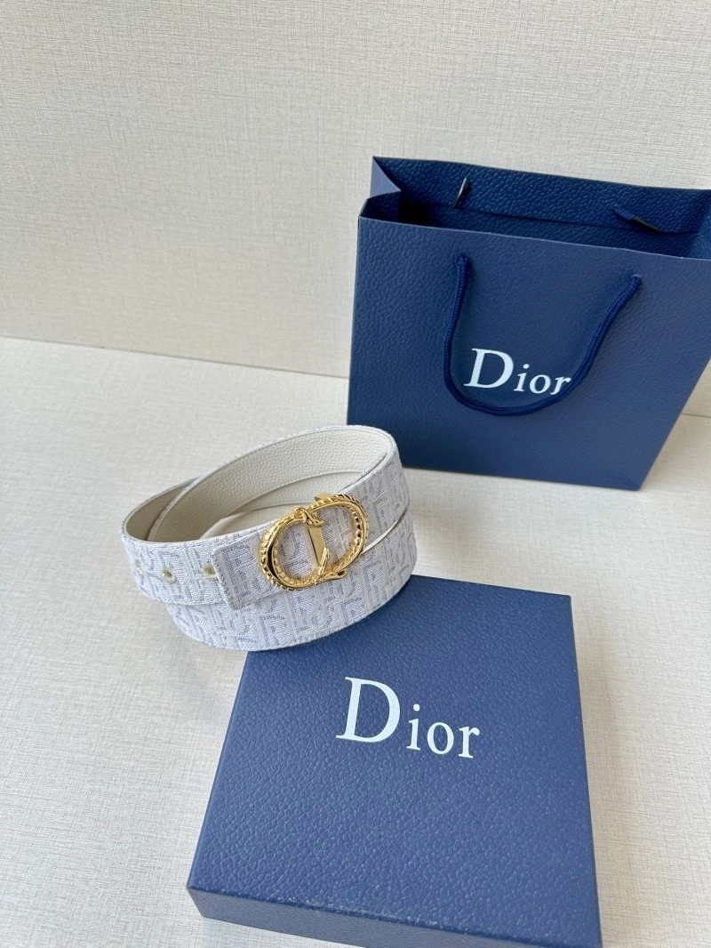 StreetReady Christian Dior Belts 284989