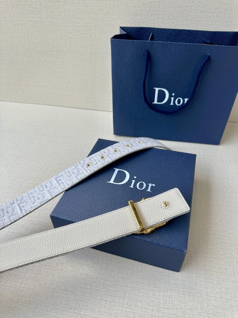 StreetReady Christian Dior Belts 284989