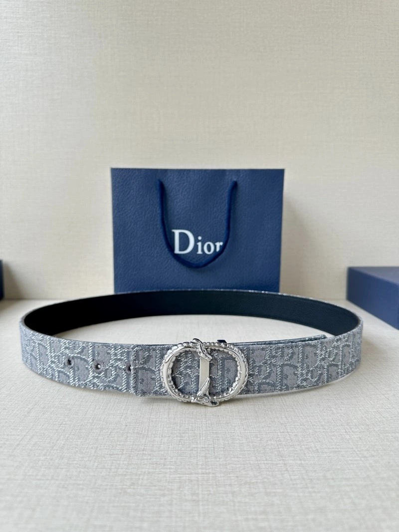WellDesigned Christian Dior Belts 284981