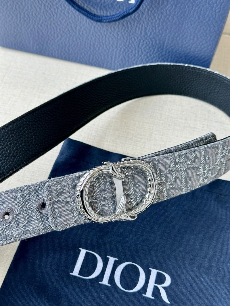 WellDesigned Christian Dior Belts 284981