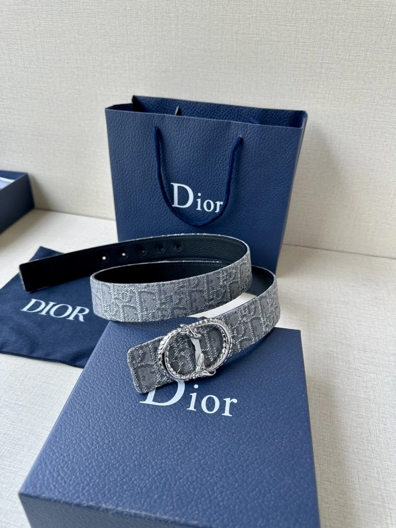 WellDesigned Christian Dior Belts 284981