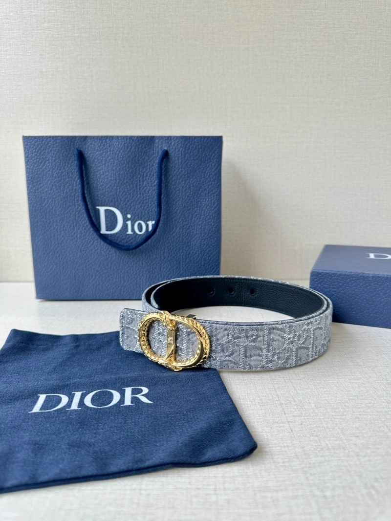 WellDesigned Christian Dior Belts 284981
