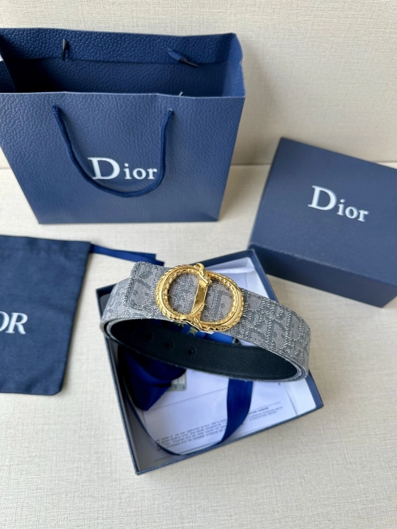 WellDesigned Christian Dior Belts 284981