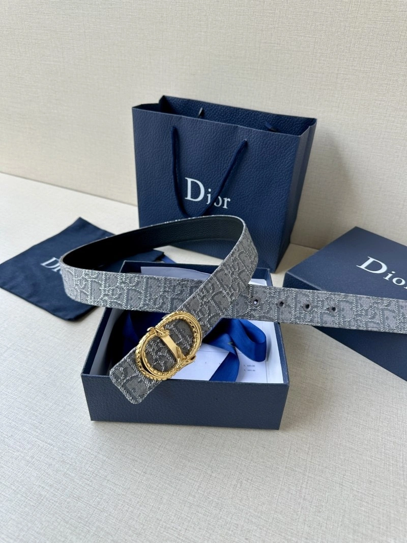 WellDesigned Christian Dior Belts 284981