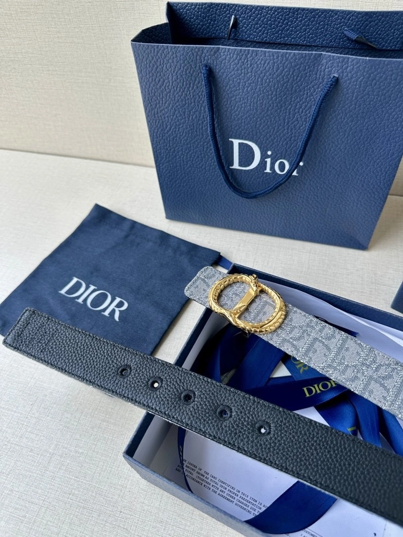 WellDesigned Christian Dior Belts 284981