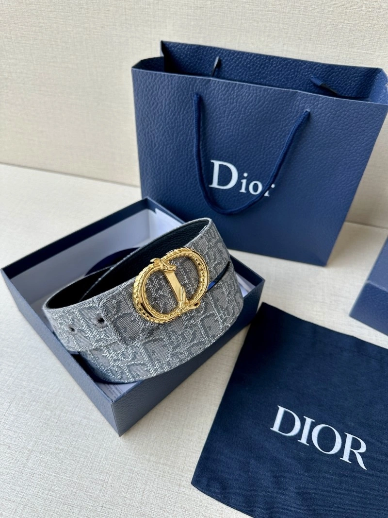 WellDesigned Christian Dior Belts 284981