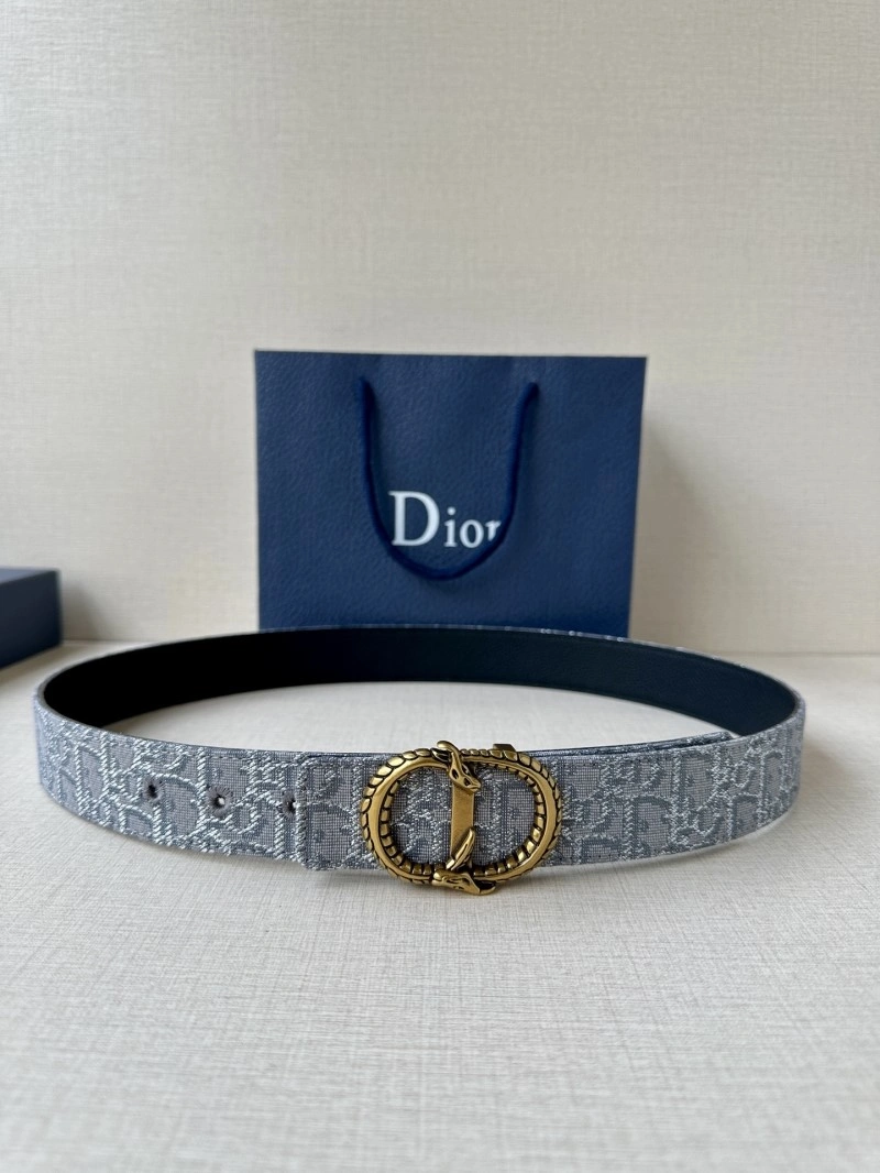 WaterResistant Christian Dior Belts 284982