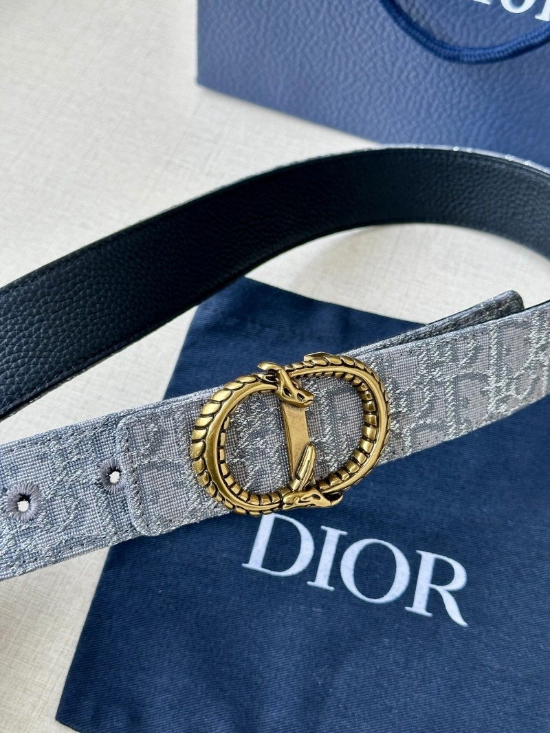 WaterResistant Christian Dior Belts 284982