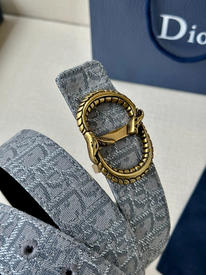 WaterResistant Christian Dior Belts 284982