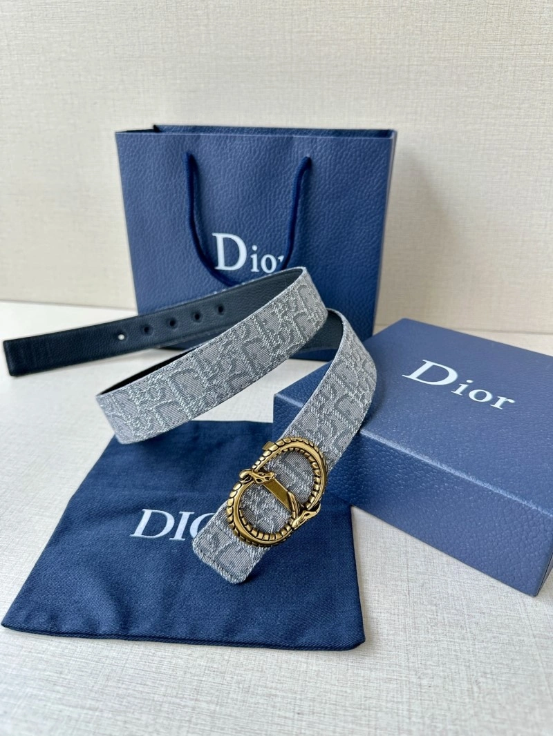 WaterResistant Christian Dior Belts 284982
