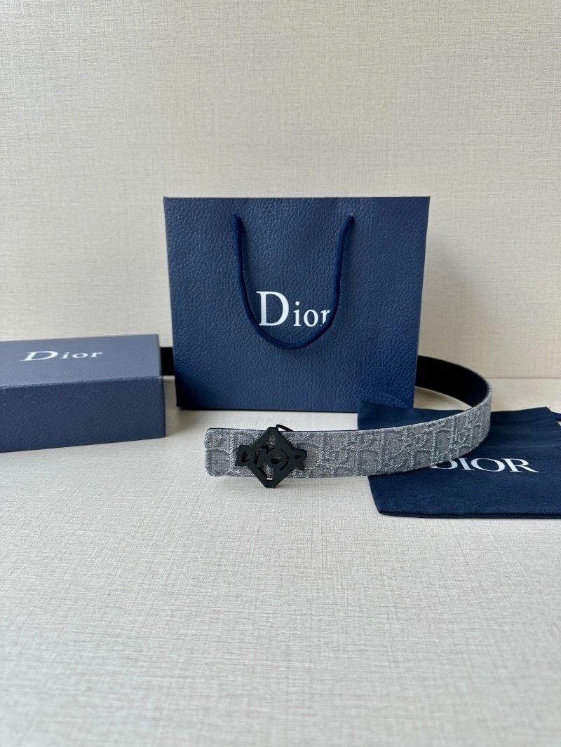 Casual Christian Dior Belts 284988