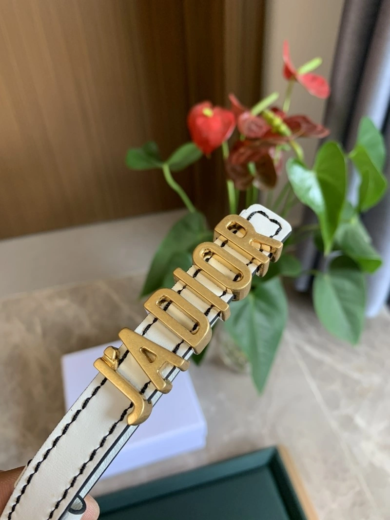Christian Dior Belts OdorResistant 284969