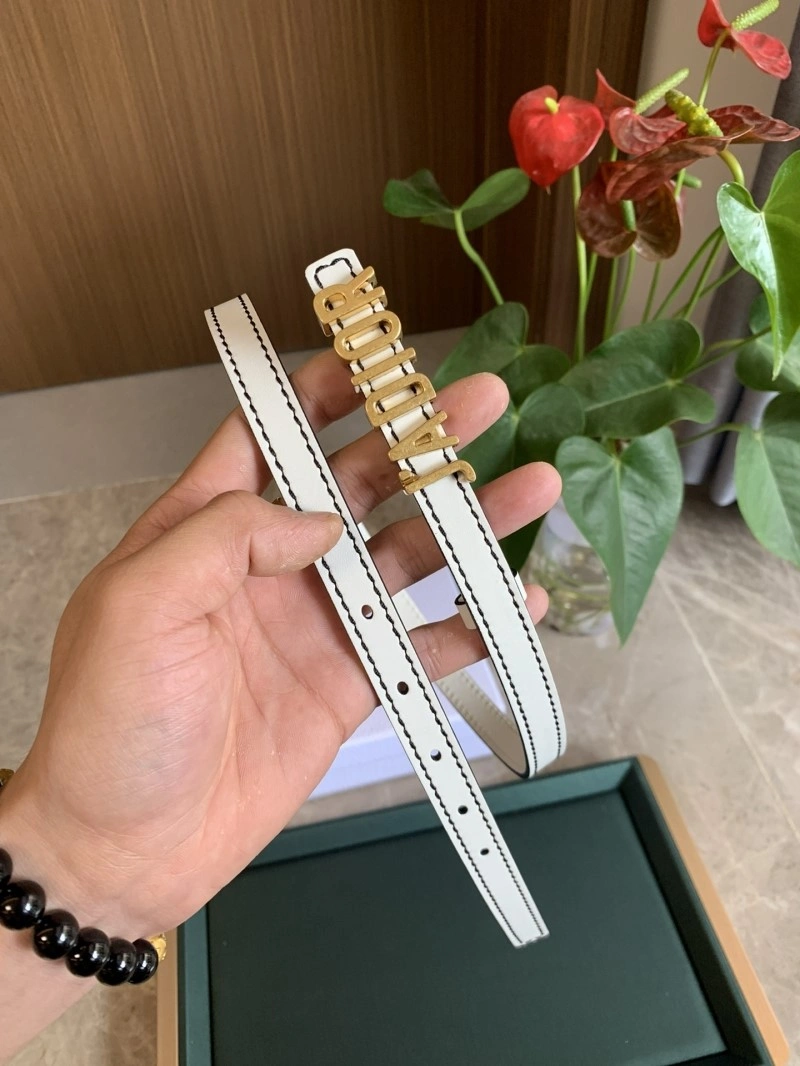Christian Dior Belts OdorResistant 284969