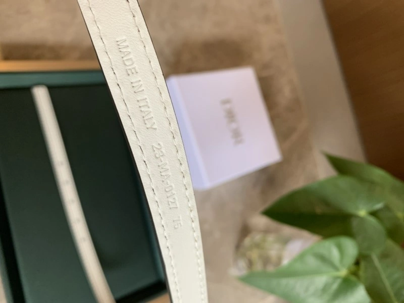 Christian Dior Belts OdorResistant 284969