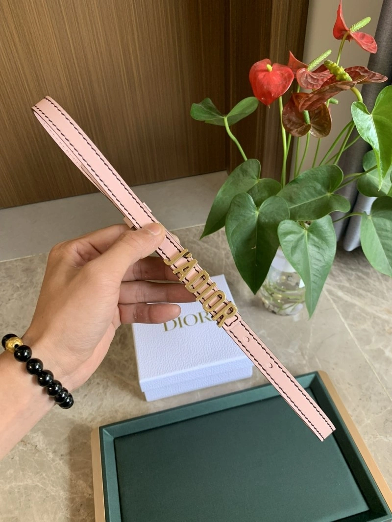 Christian Dior Belts Neat 284980