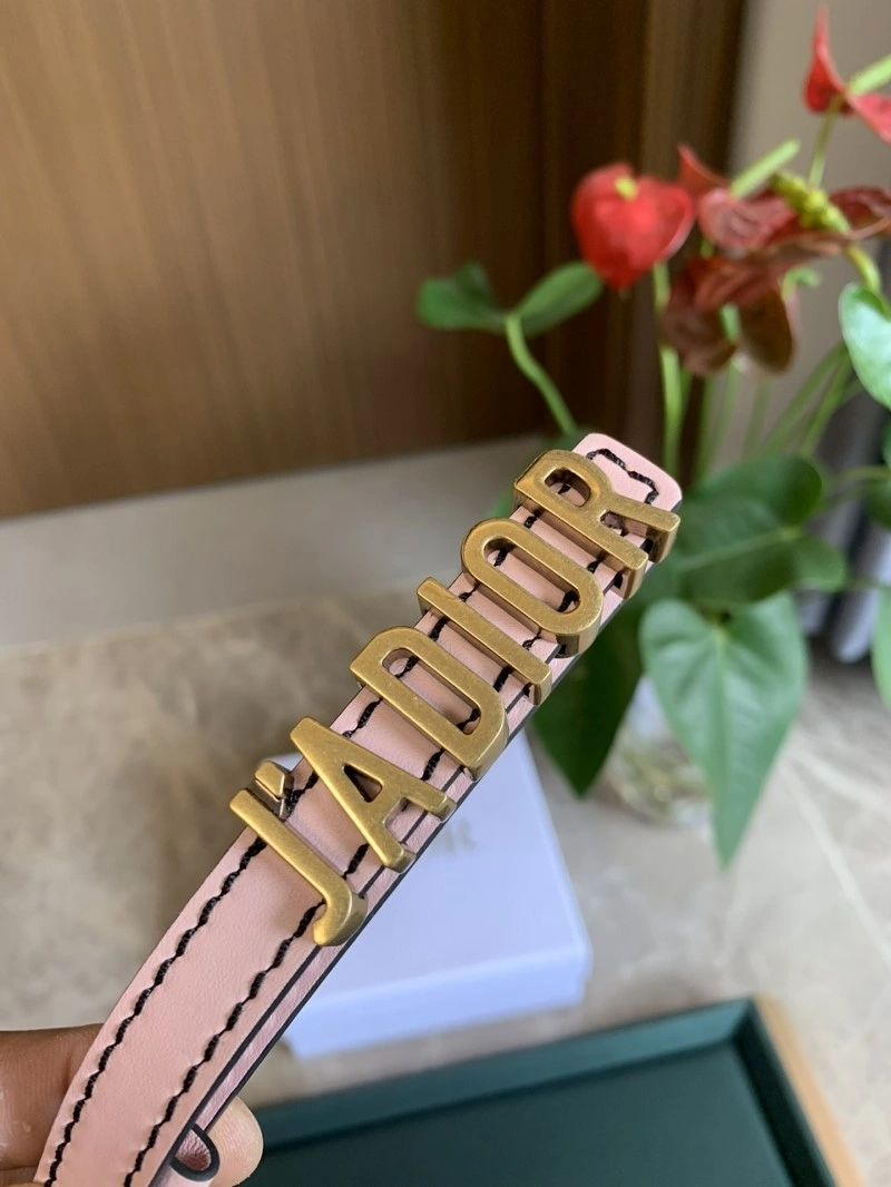 Christian Dior Belts Neat 284980