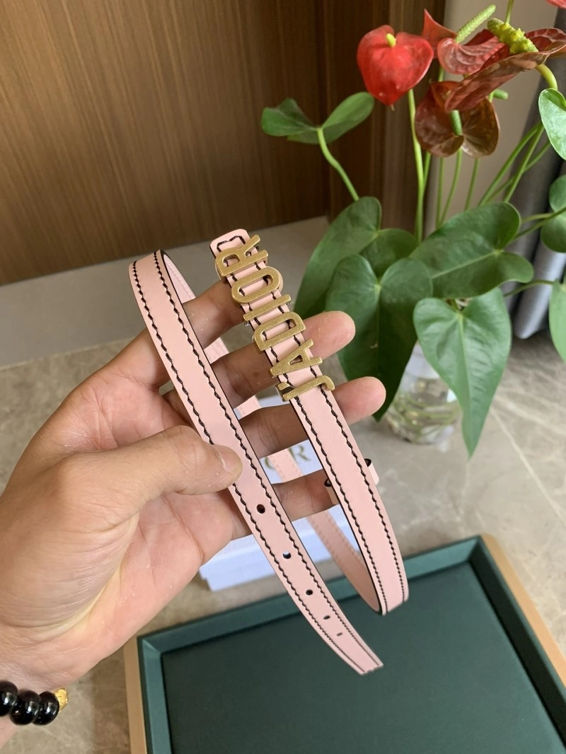 Christian Dior Belts Neat 284980