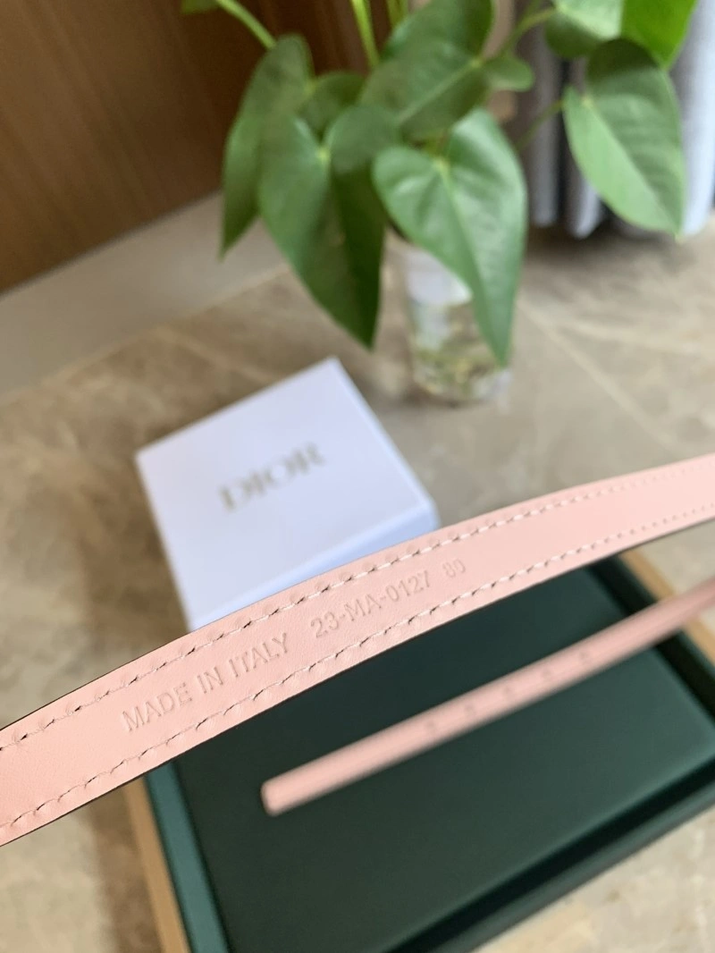 Christian Dior Belts Neat 284980