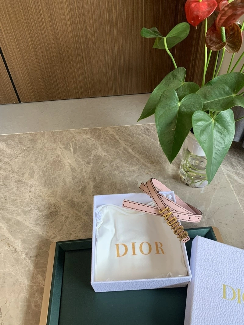 Christian Dior Belts Neat 284980