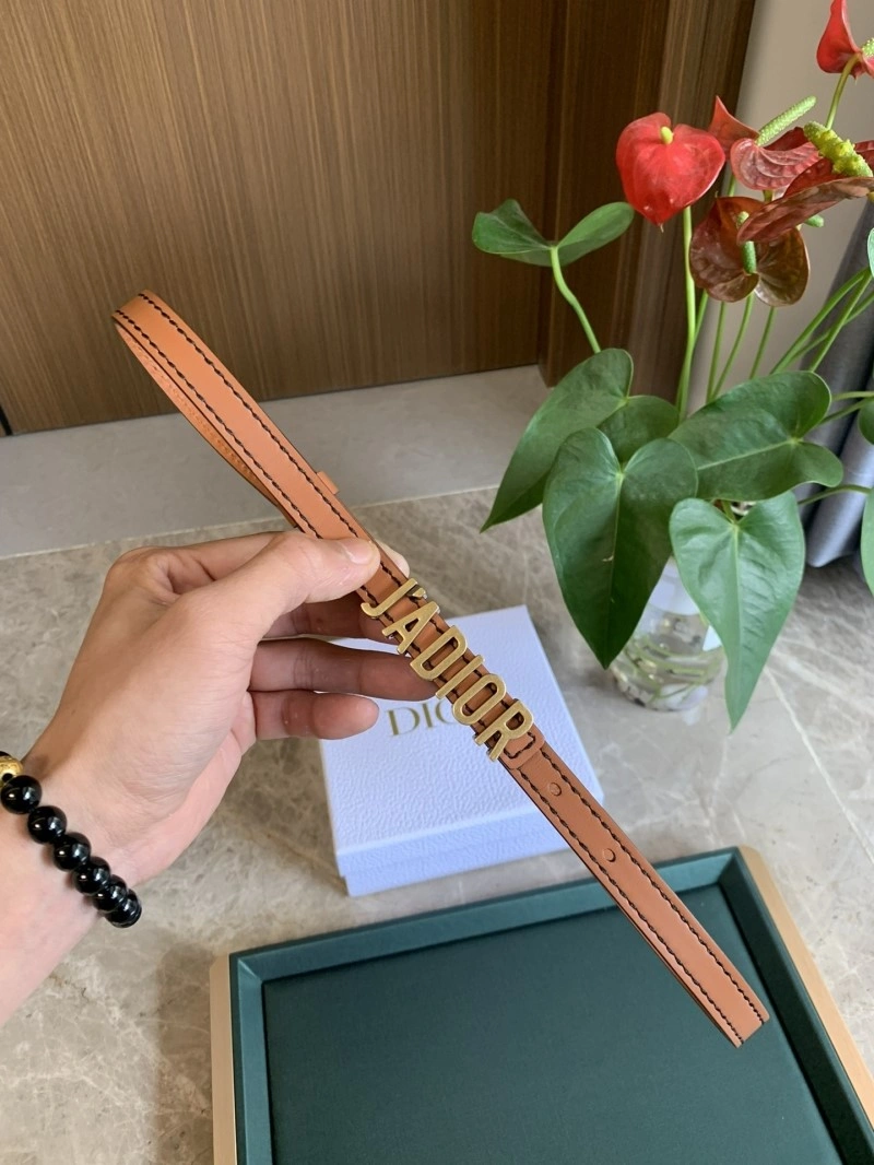 Bright Christian Dior Belts 284976