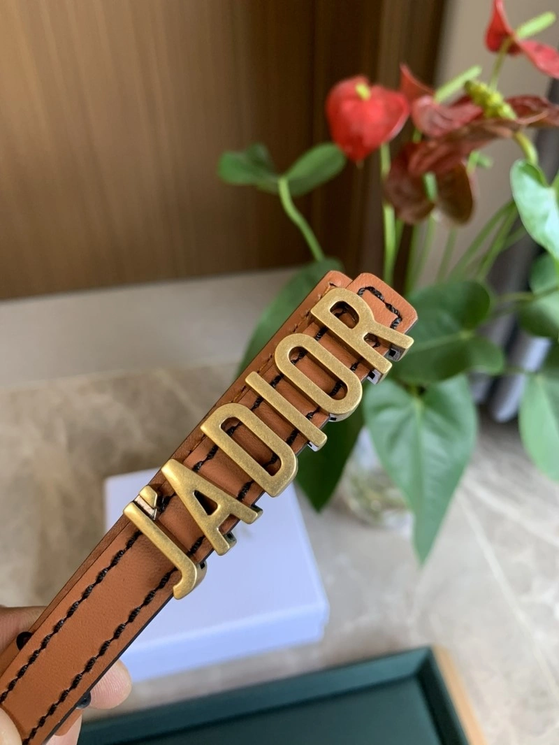 Bright Christian Dior Belts 284976
