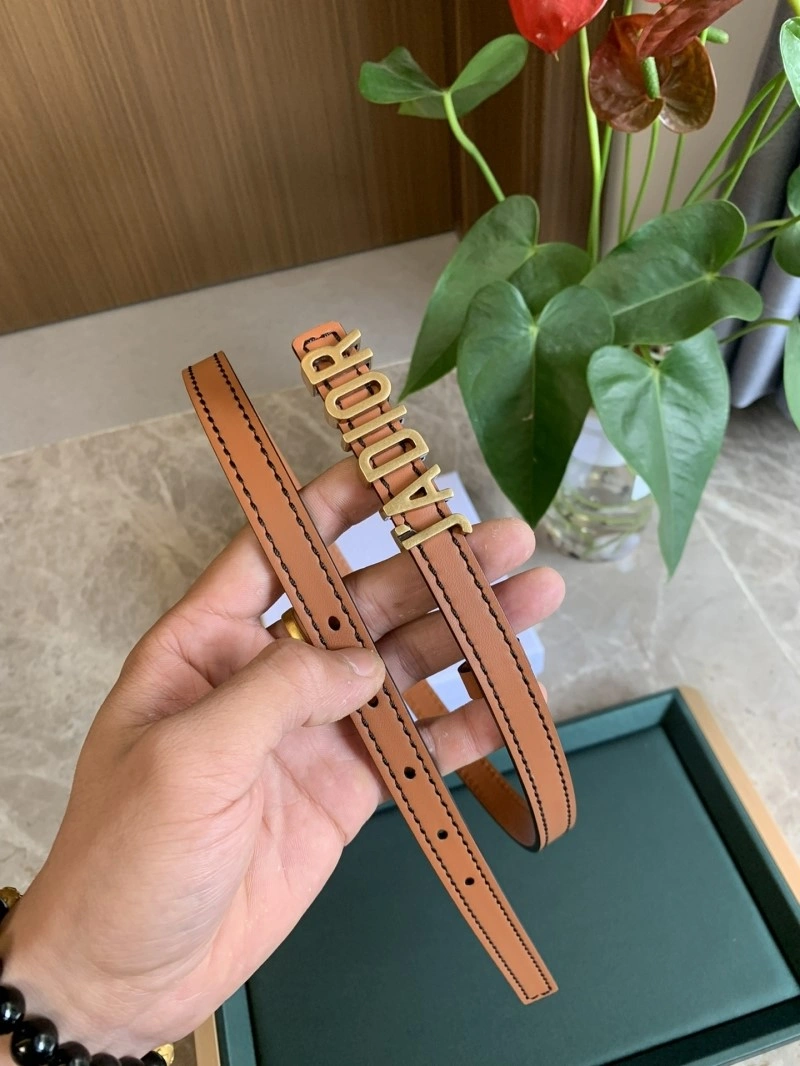 Bright Christian Dior Belts 284976
