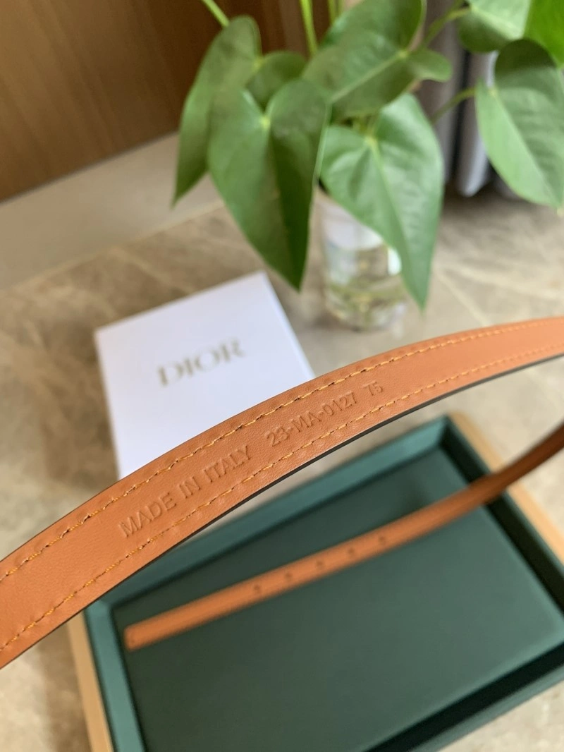 Bright Christian Dior Belts 284976