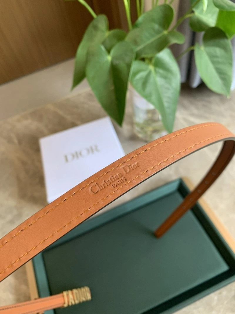 Bright Christian Dior Belts 284976