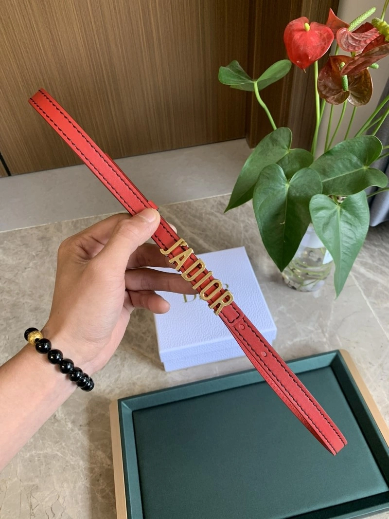 Classic Christian Dior Belts 284975