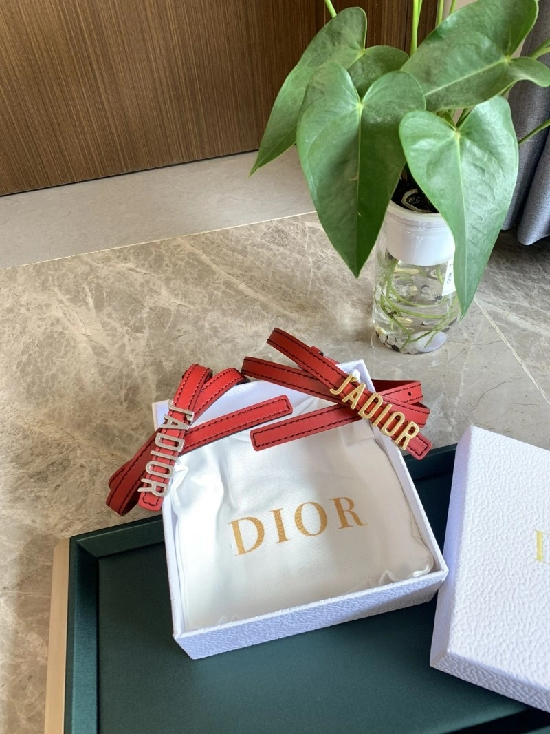 Classic Christian Dior Belts 284975