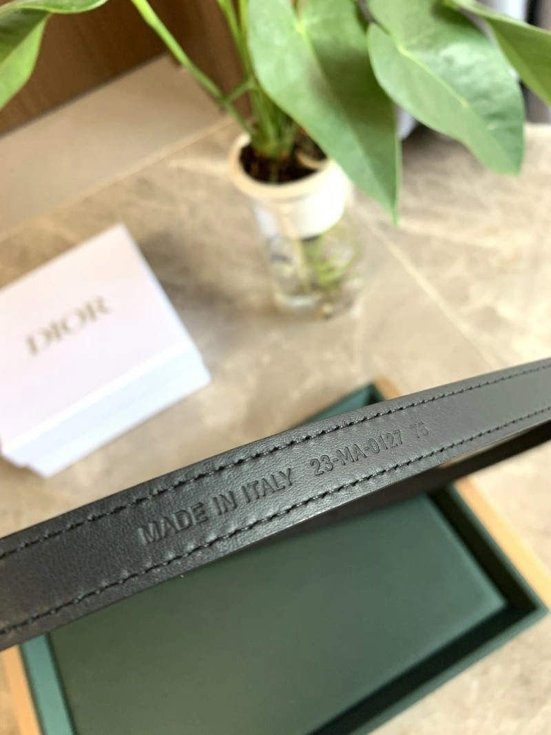 Christian Dior Belts Timeless 284979