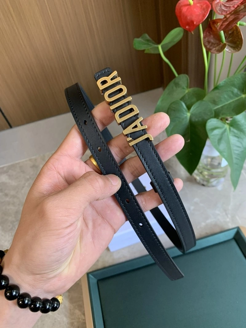 FlexibleFit Christian Dior Belts 284990