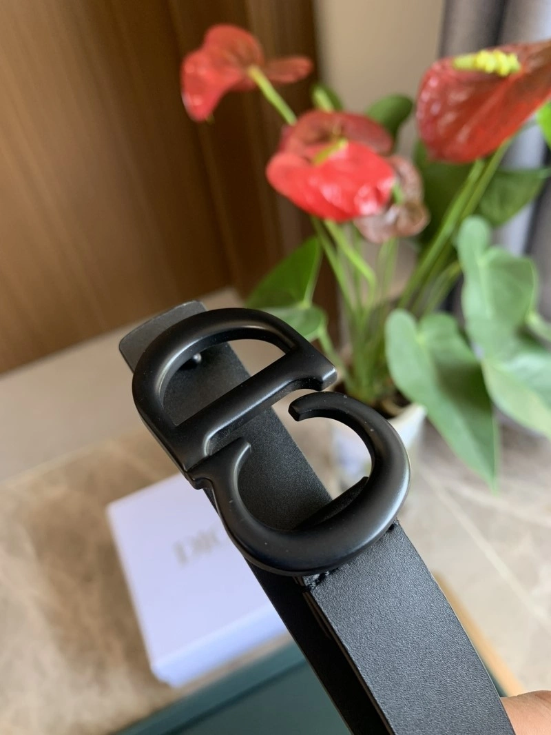 Vibrant Christian Dior Belts 284974