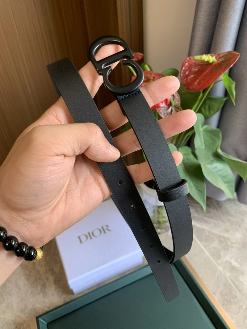 Vibrant Christian Dior Belts 284974