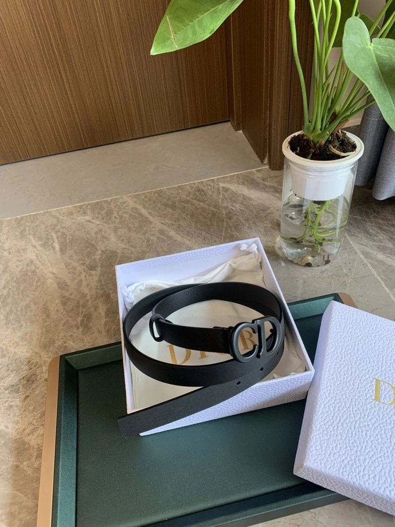 Vibrant Christian Dior Belts 284974