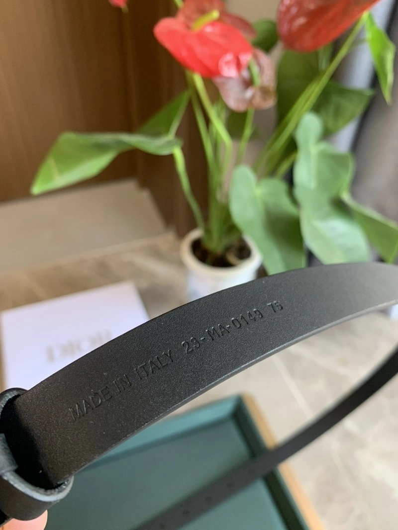 Christian Dior Belts Comfortable 284968