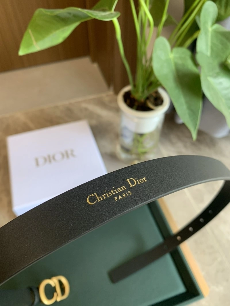 Christian Dior Belts Comfortable 284968